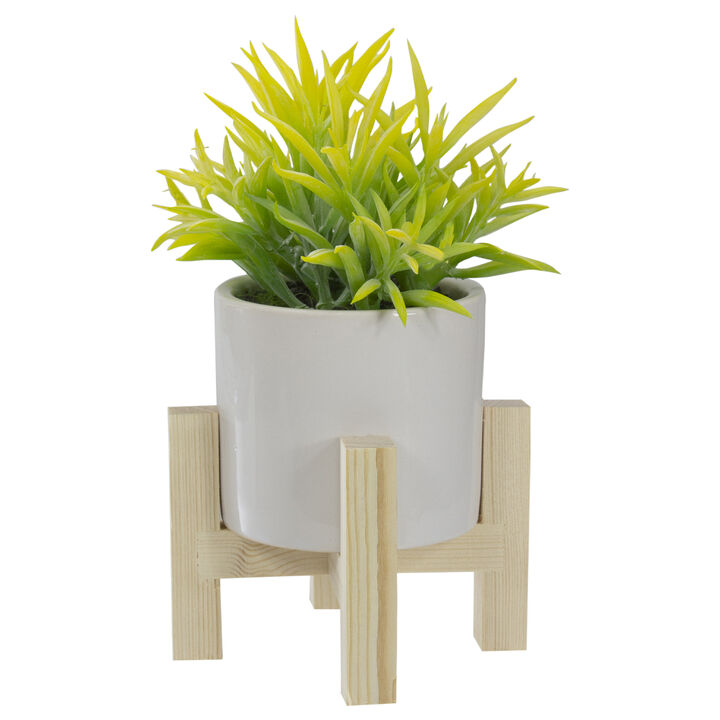 8" Potted Green Artificial Succulent with Wooden Stand