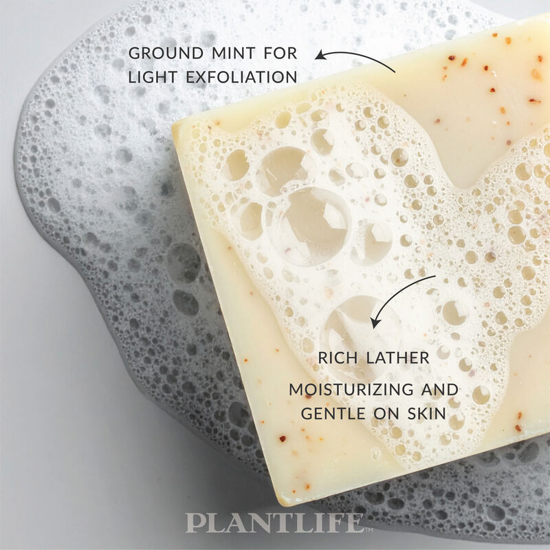 Plantlife Bar Soap - Double Mint 3 pack image number 3