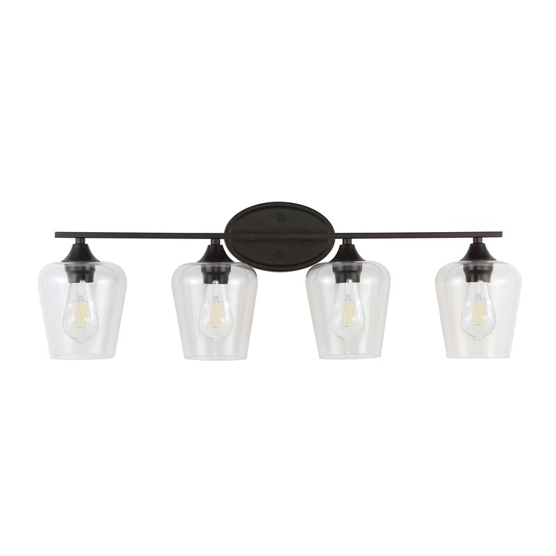 Jayne Iron/Glass Cottage Rustic LED Vanity Light