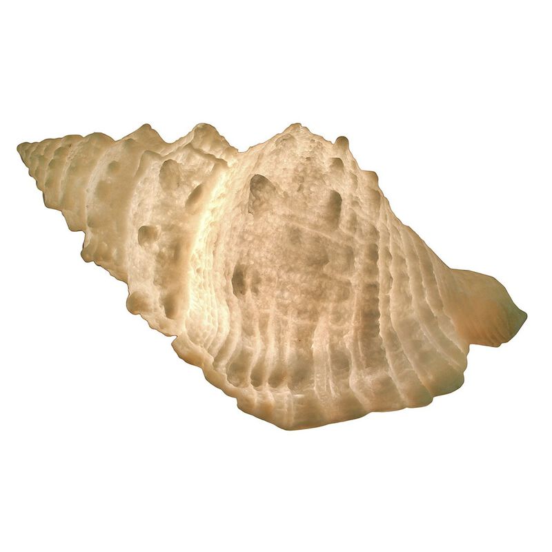 Giant Off-White Decorative Horned Conch Shell Accent Lamp 17 In image number 0
