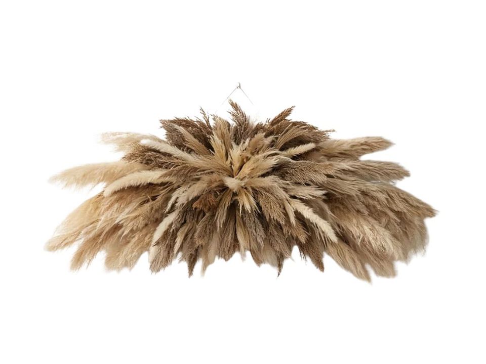 Large Pampas Grass Wall Decor Boho Dried Flower Kit for Living Room Bedroom