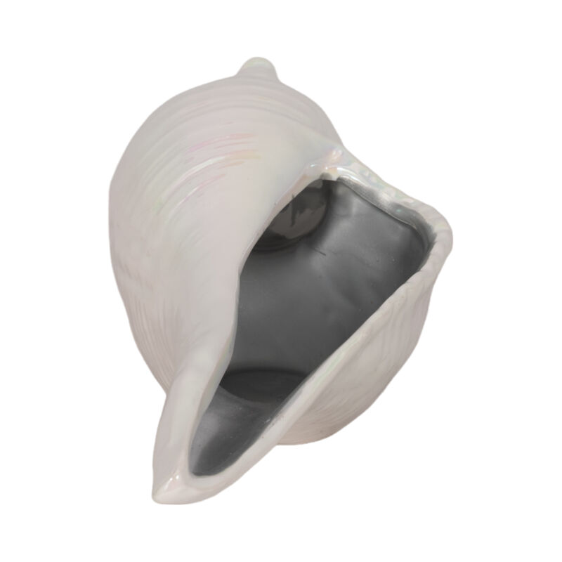 12" Long Iridescent Seashell image number 2