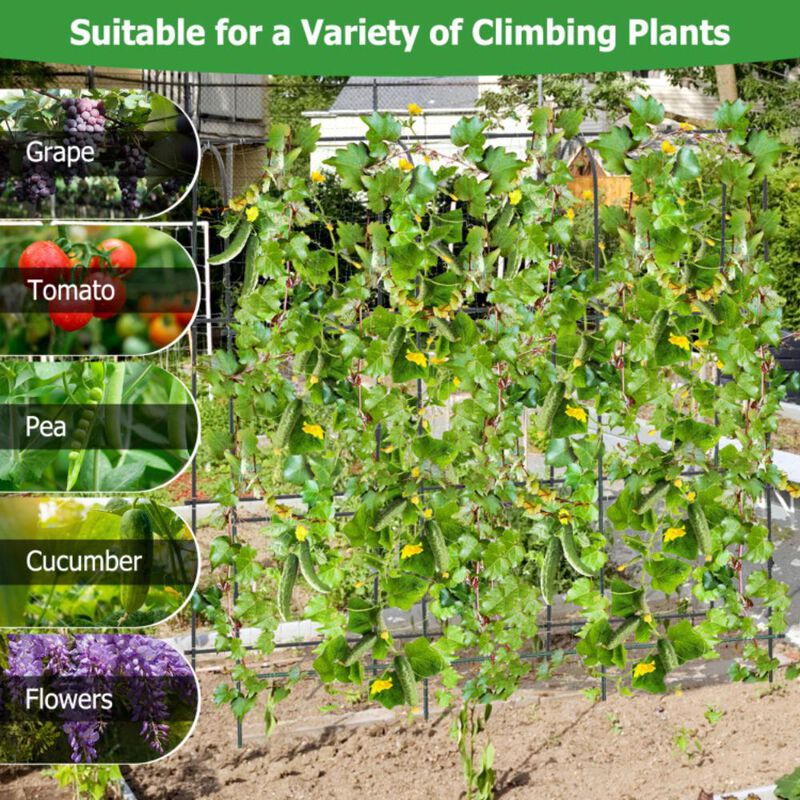 Hivvago U-Shaped Tall Garden Arched Trellis for Climbing Plants