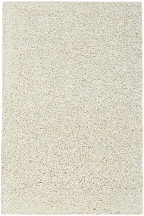 HomeRoots Shag Distressed Area Rug