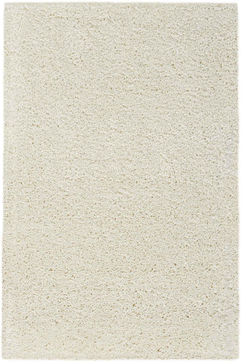 HomeRoots Shag Distressed Area Rug image number 0