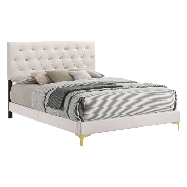 Lif Platform Queen Size Bed, Panel Tufted Headboard, Gold Legs White Velvet-Benzara