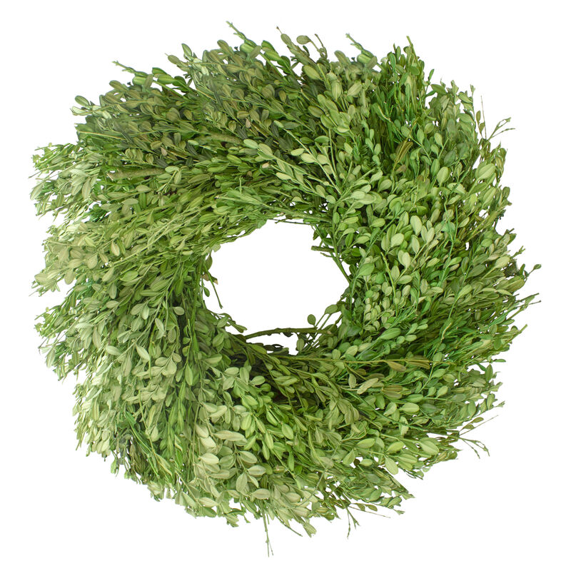 Green Foliage Artificial Spring Wreath  15-Inch image number 0