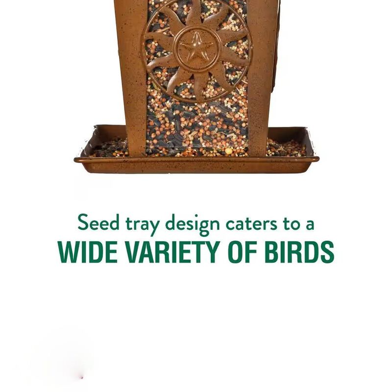 Four-Wide Perch Lantern Style Bird Feeder &ndash; Heavy Duty Design for Backyard Birds image number 2