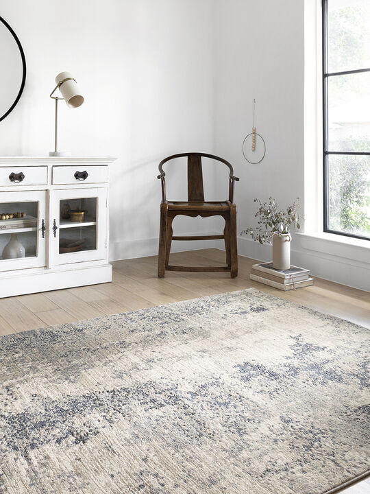 Teagan Natural/Denim 9'9" x 13'6" Rug