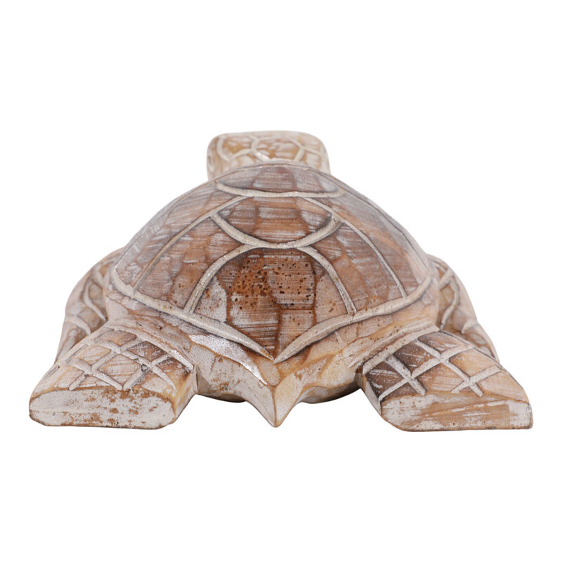 12x8" Alibizia Wood Turtle image number 3