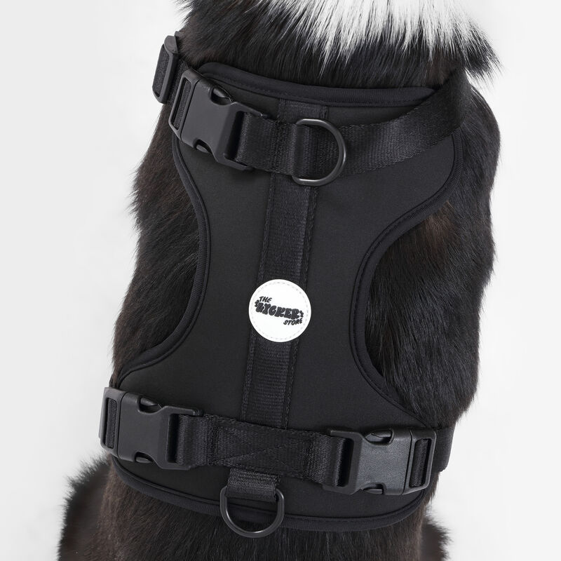 Arlo Adjustable Soft Padded No Pull Pet Harness with 3 Buckles and 3 Leash Clips