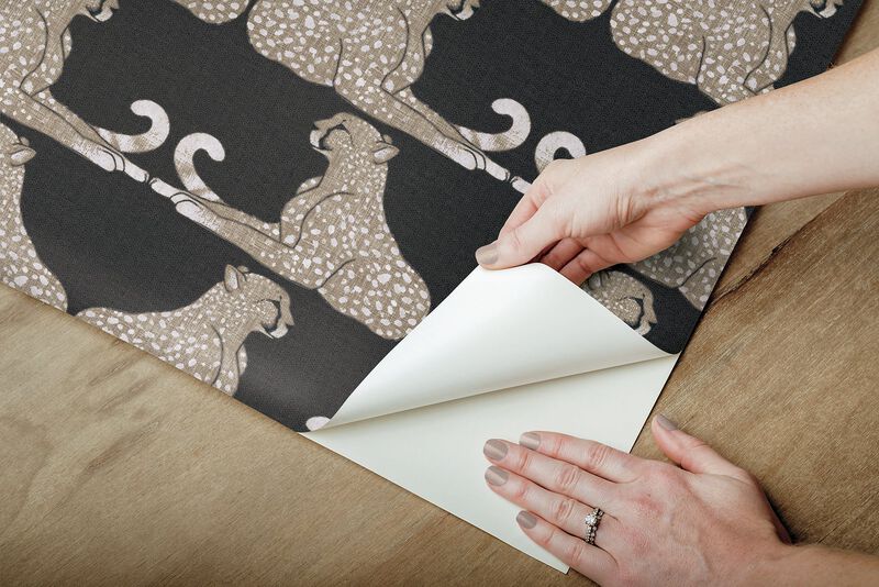 Reclining Cheetahs Black Peel & Stick Wallpaper (Double Roll) image number 6