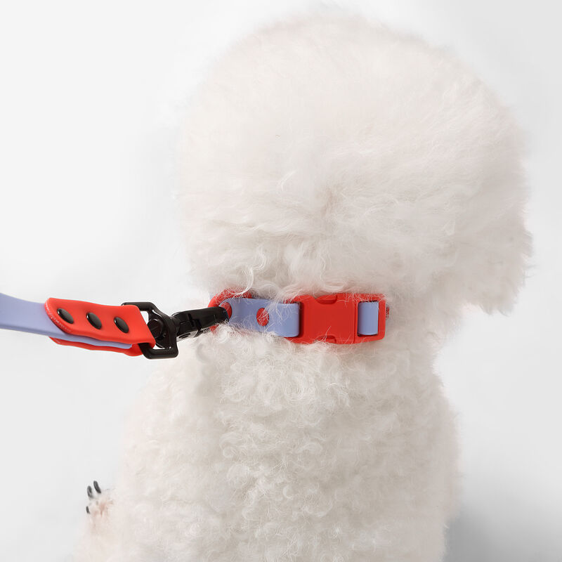Luna  Adjustable 6-in-1 Waterproof Hands-Free Leash and Collar with LED Flashlight