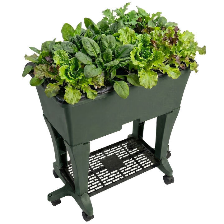 EarthBox Elevated Garden on Wheels &ndash; Self Watering Planter with Plant Food & Storage Shelf