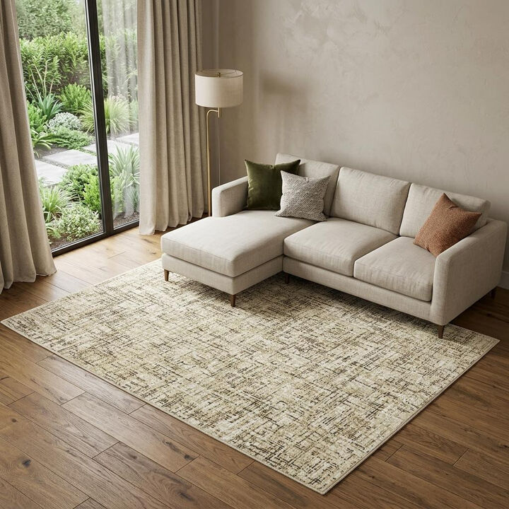 HomeRoots Abstract Area Rug