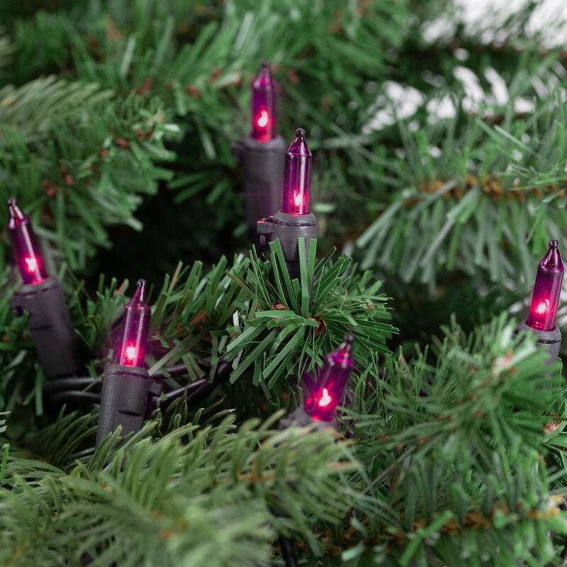 50-Count Purple Mini Christmas Light Set  10ft Black Wire image number 3
