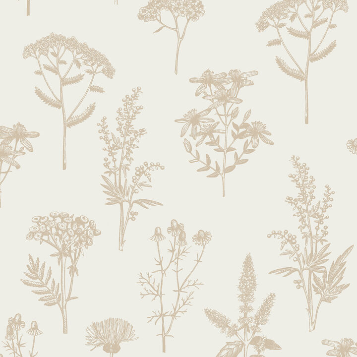Luminous Botanical Sketch Wallpaper