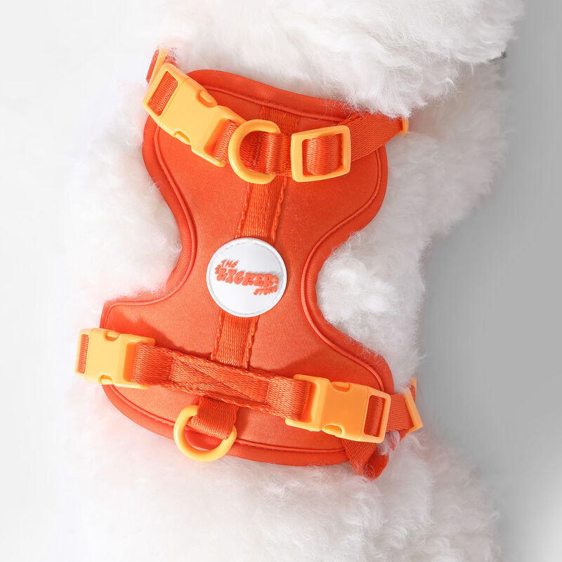 Arlo Adjustable Soft Padded No Pull Pet Harness with 3 Buckles and 3 Leash Clips