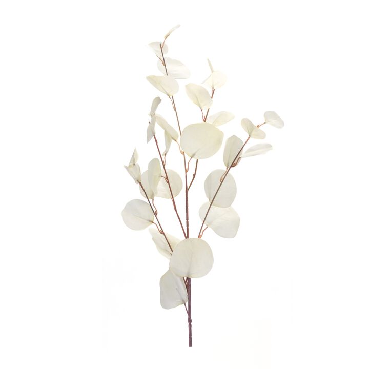 Dollar Eucalyptus Leaf Spray for Elegant Home Décor and Floral Arrangements (Set of 6)