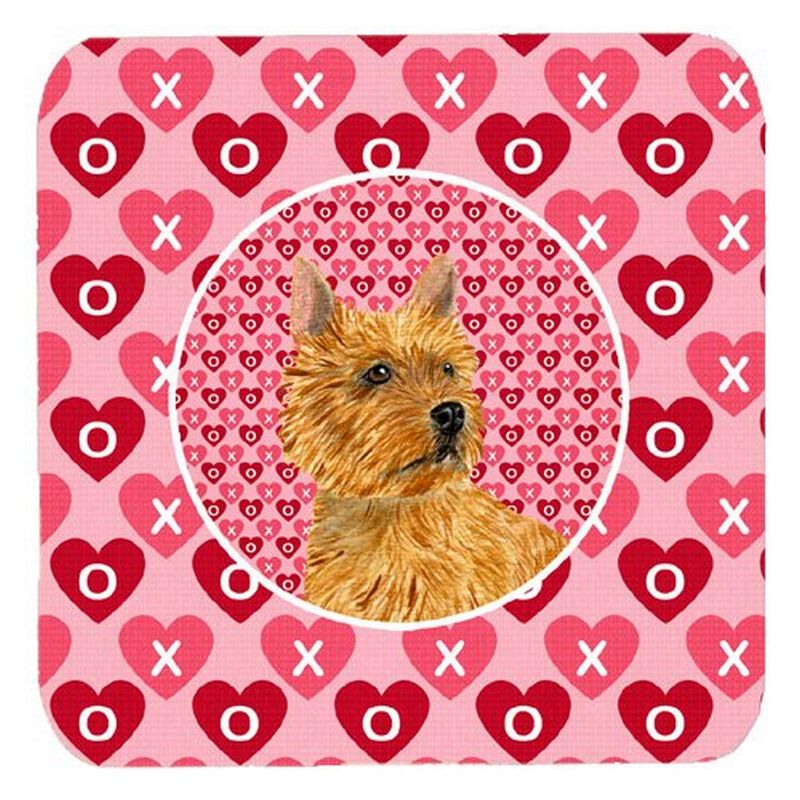 Caroline's Treasures SS4499FC Norwich Terrier Foam Coasters (Set of 4), 3.5 H x 3.5 W, Multicolor