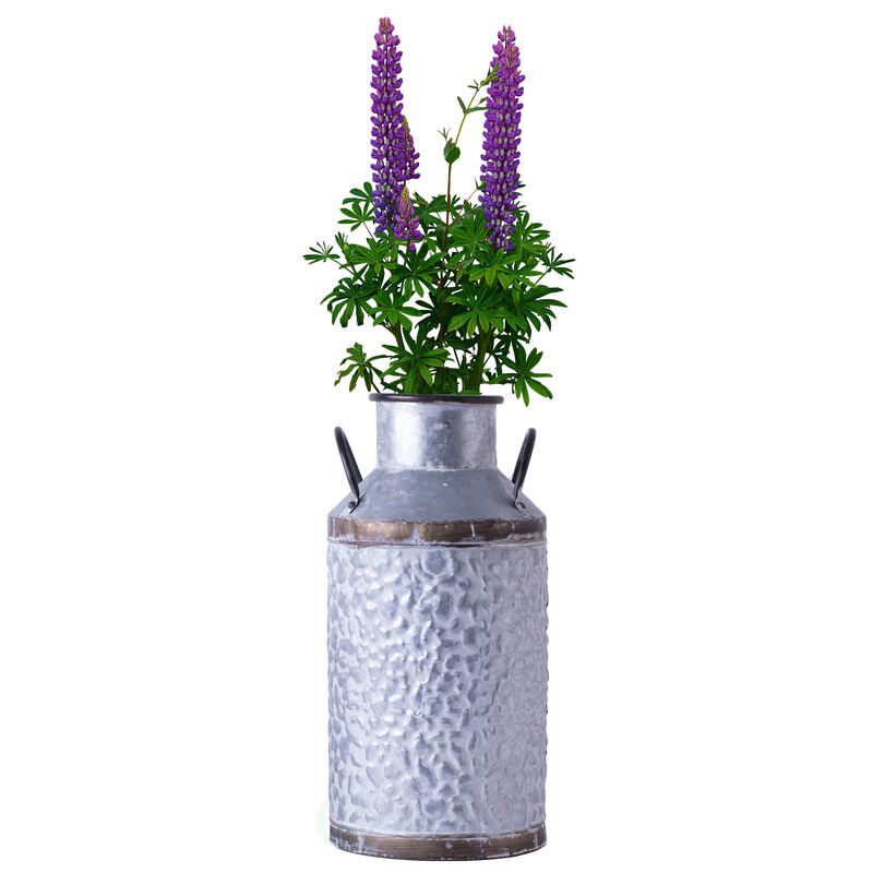 Rustic Farmhouse Style Galvanized Metal Milk Can Decoration Planter and Vase, Large