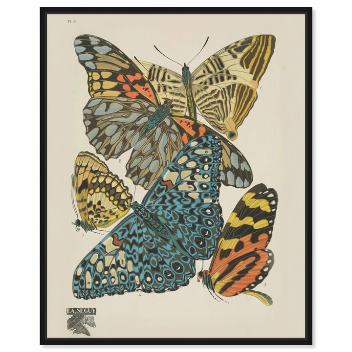 Butterflies In Spots Animals Canvas Print by Art Remedy