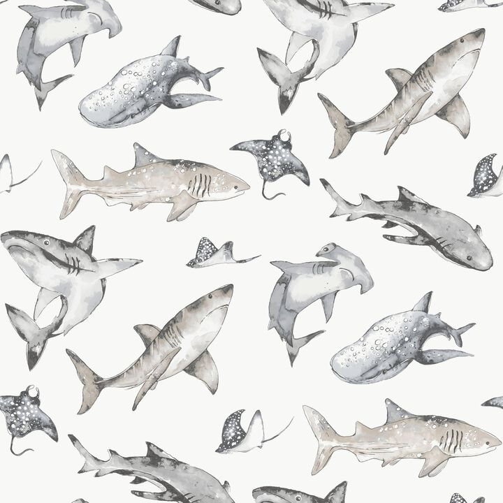 Kids and Teens Sharks Grey Wallpaper G78593
