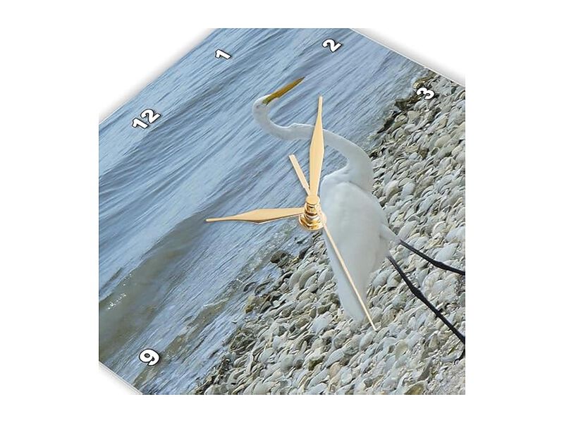 Heron Shells Wall Clock 10 Inch Home Decor image number 3