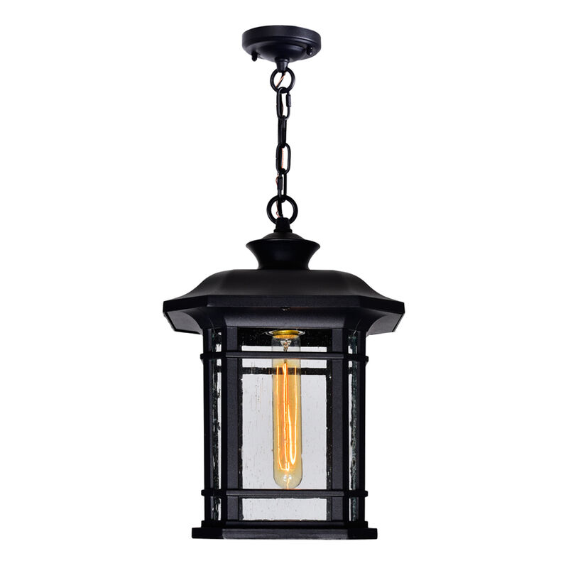 Blackburn 1 Light Outdoor Black Pendant