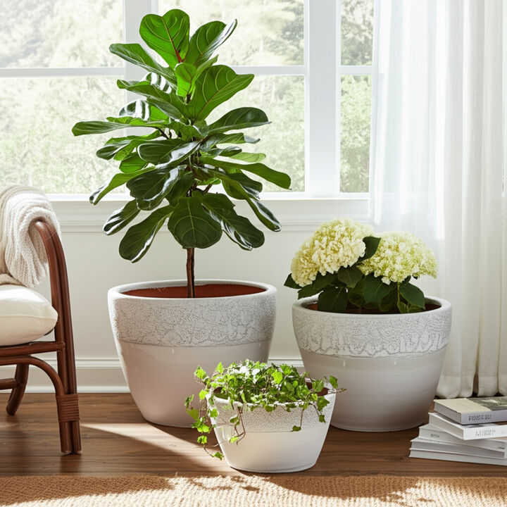 Ombre Planters (Set of 3)