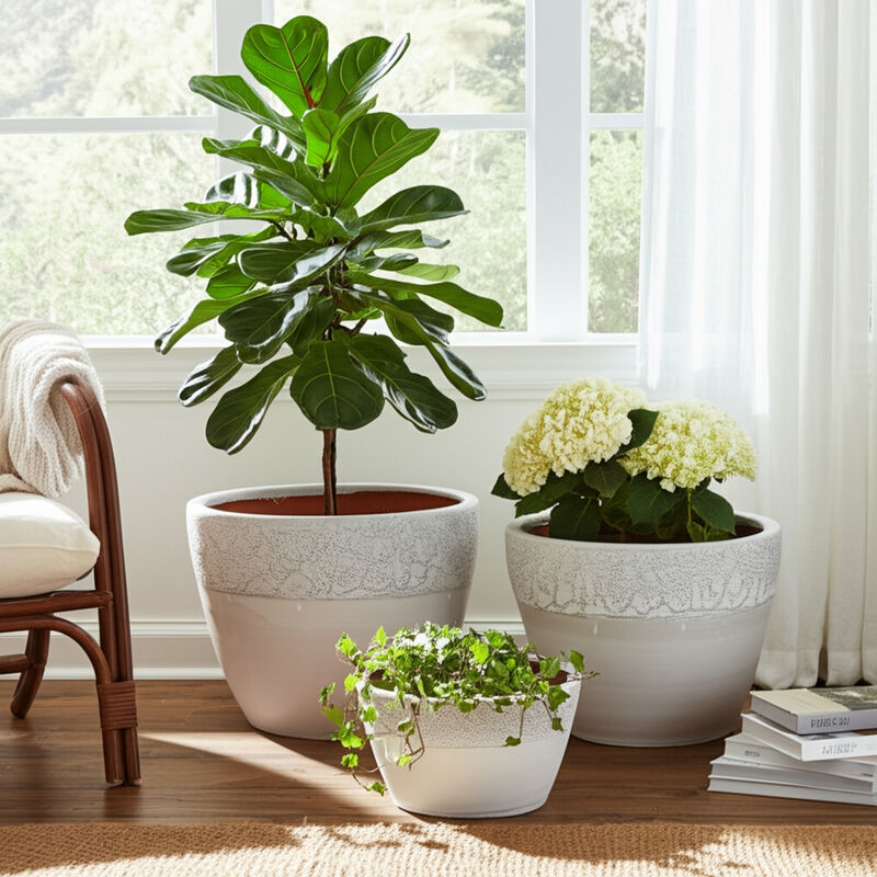 Ombre Planters (Set of 3)