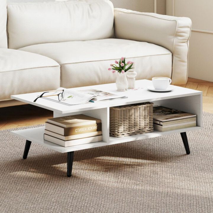 Hivvago Mid Century Modern Rectangle Coffee Table 2-Tier Accent Table with 2 Open Compartments