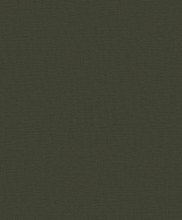 Off The Wall Nuance Plain Texture Green Wallpaper LB25123