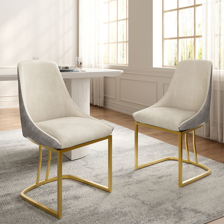 Modern Dining Chair with Metal Legs(Set of 2)