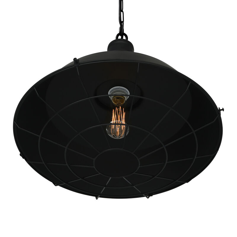 Morgan 1 Light Down Pendant With Black Finish