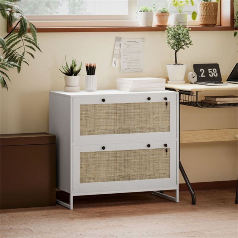 Multi-Purpose File Cabinet and Storage Cabinet for Home or Office