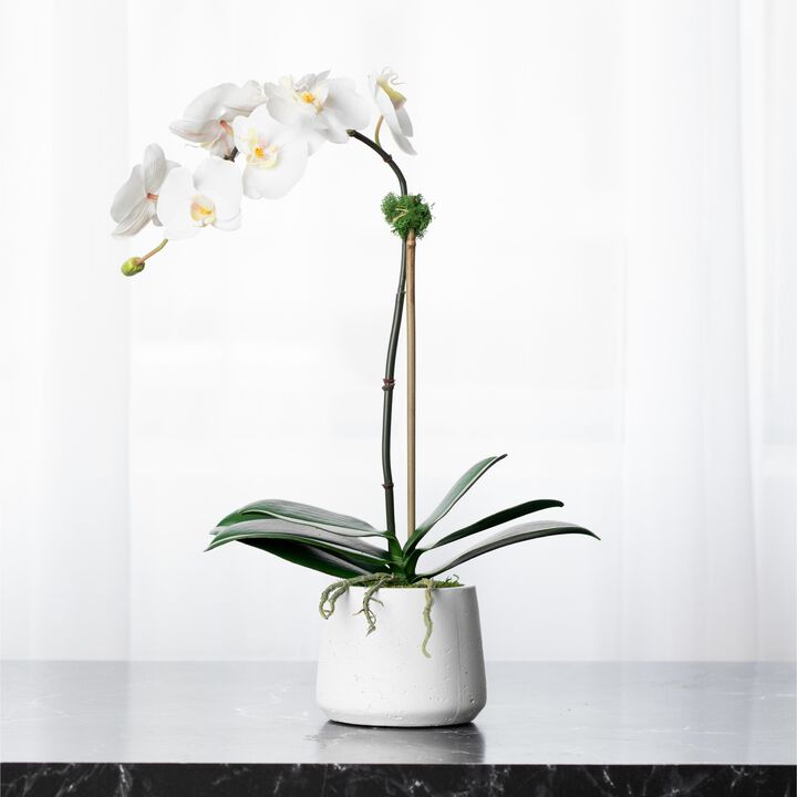 Artificial Orchid Plant - White Orchid- 21"