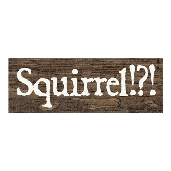 Squirrel Wood Sign Rustic Farmhouse Wall Decor for Living Room, Cabin or Entryway