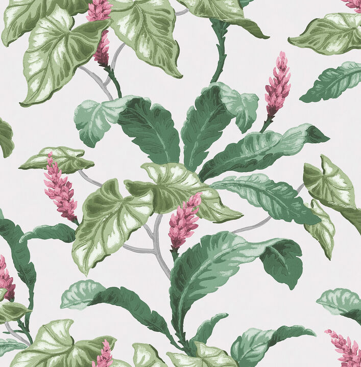 Meridian Parade Green Tropical Leaves Wallpaper (Set of 2)