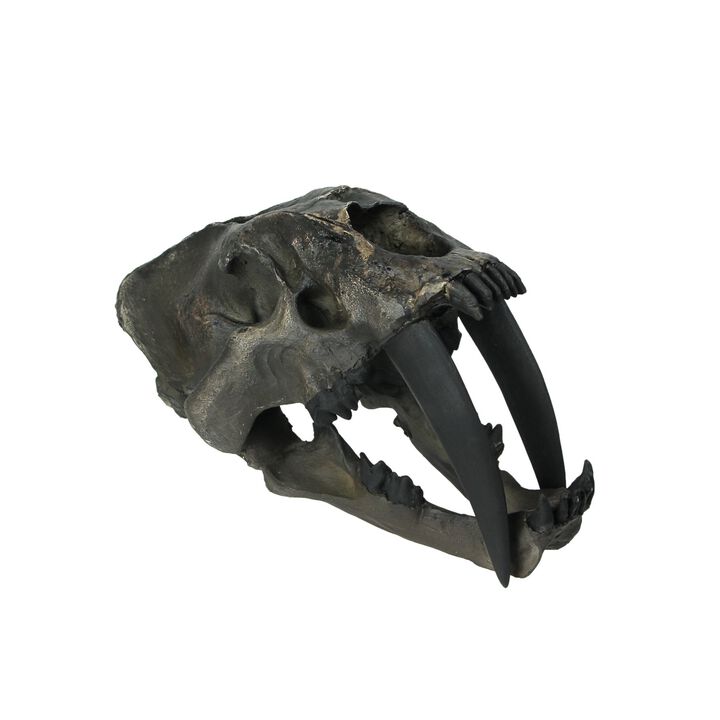 Hand Painted Realistic Prehistoric Brown Saber Toothed Cat Skull Fossil Statue