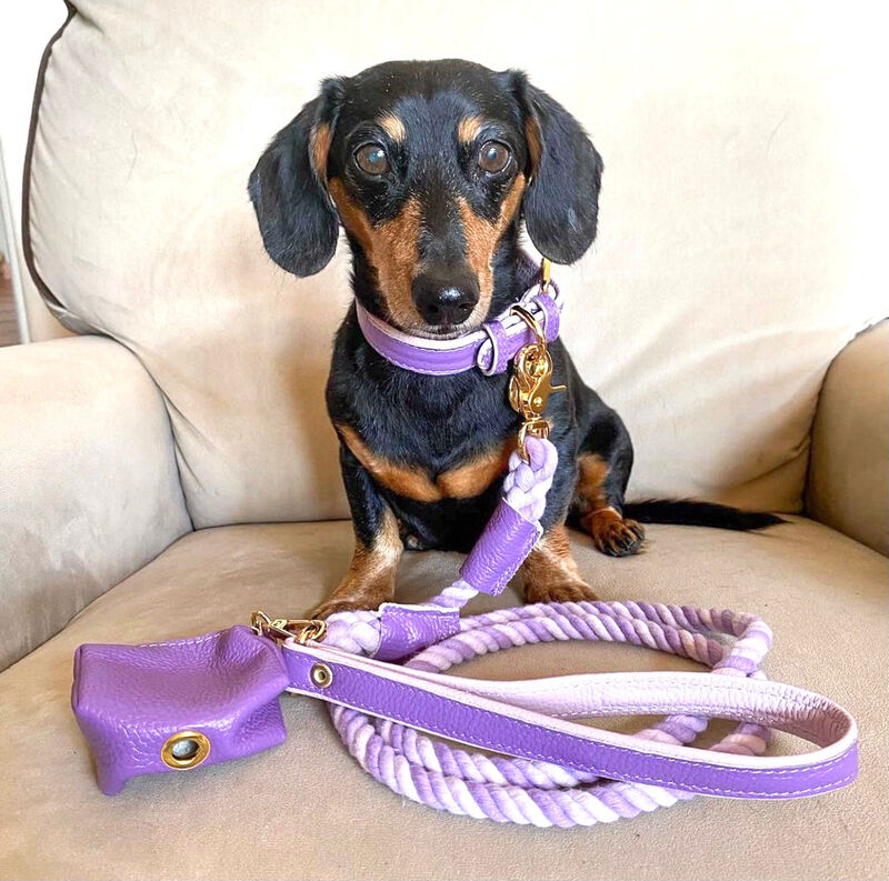 POISEPUP Genuine Leather Dog Collar - Handmade, Adjustable & Soft - Purple | Lilac