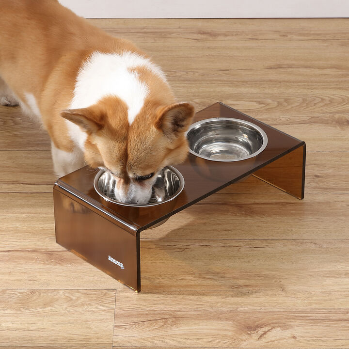 Keaton Modern Acrylic Rectangular Elevated Pet Feeder with Stainless Steel Bowls