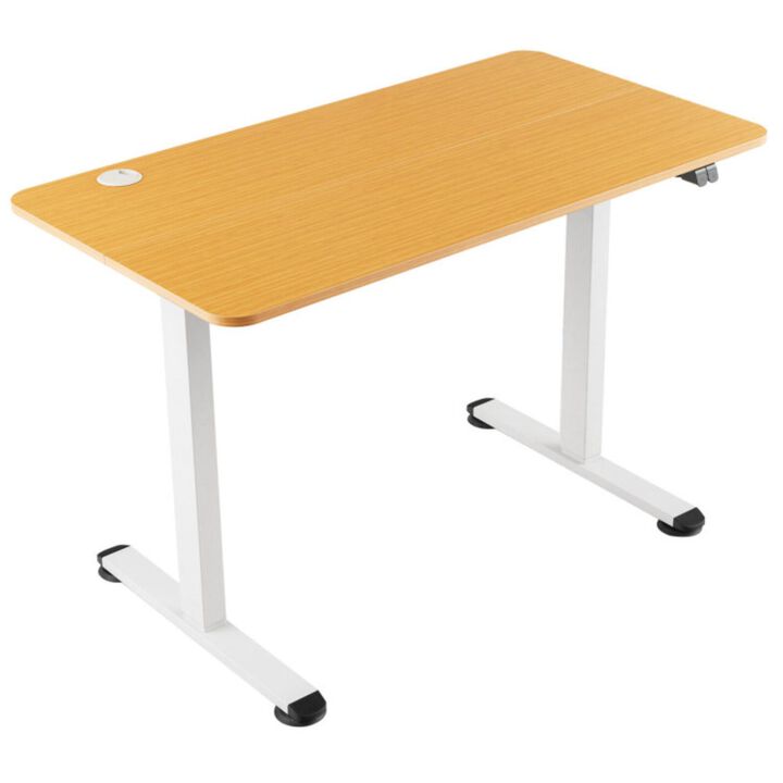 Hivvago Electric Standing Desk Adjustable Stand up Computer Desk Anti-collision
