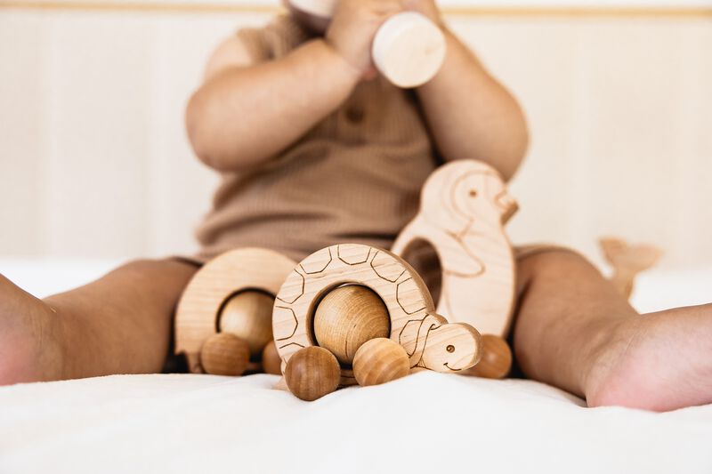 Roly Poly Elephant Push Toy image number 2