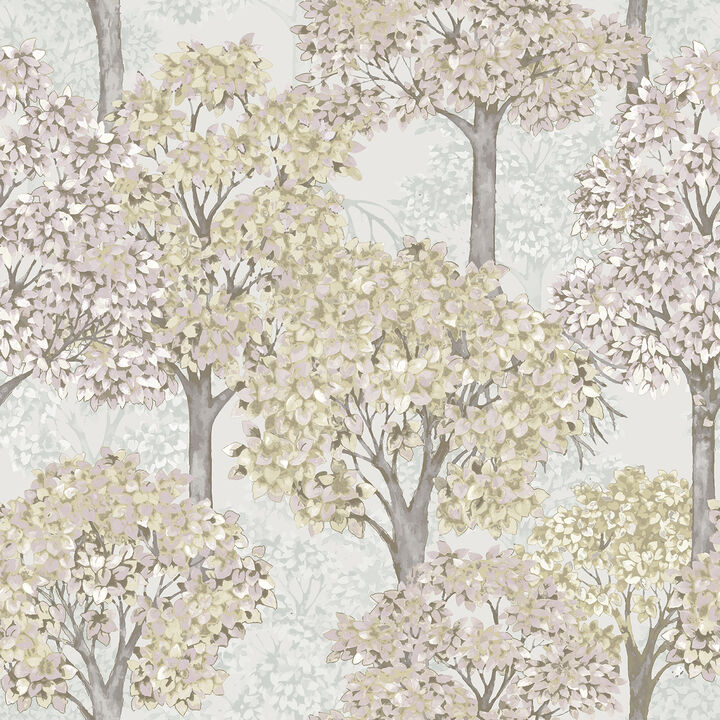 Little Explorers 2 Wood Green Wallpaper 12321