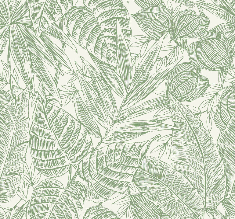 Brentwood Green Palm Leaves Wallpaper