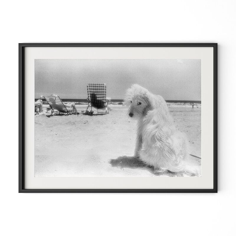 Lois At The Beach image number 3