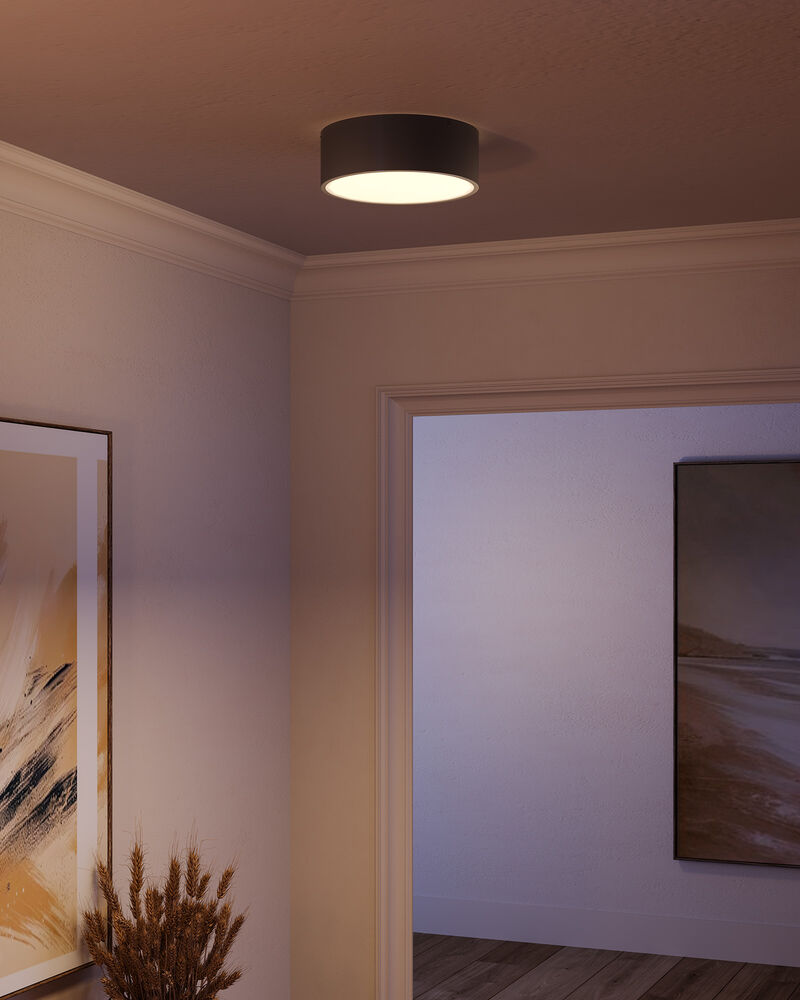Brisbane 11 in 2 Lights Flush Mount image number 6