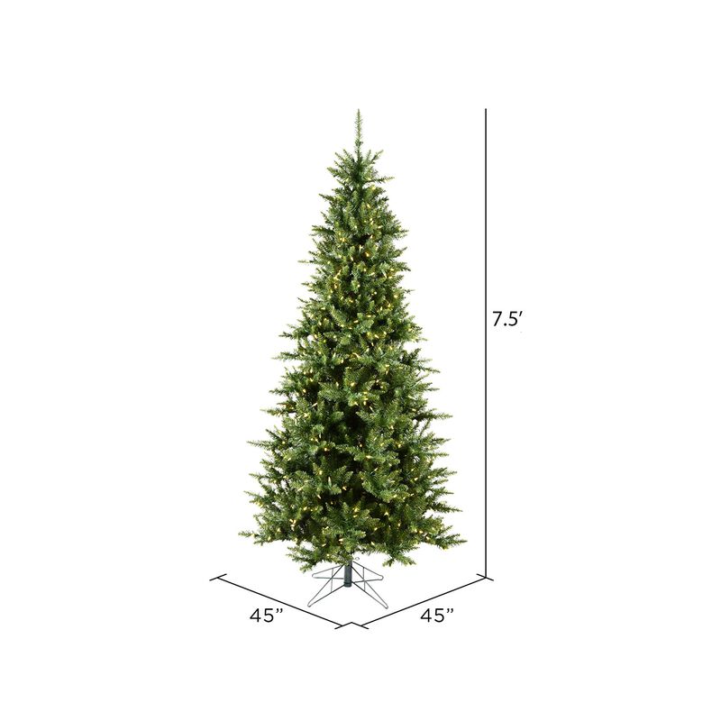Vickerman Camdon Slim WmWht - image number 5