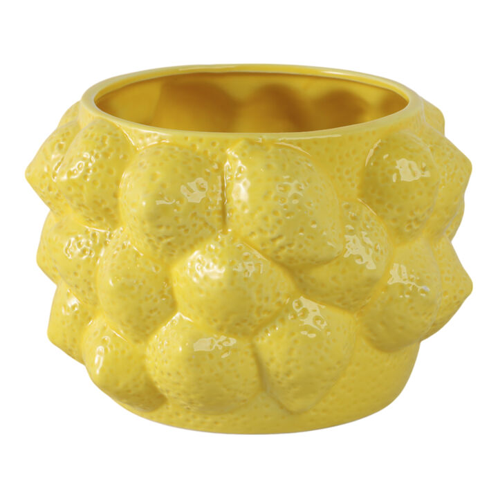 Solid Lemons Flower Pot